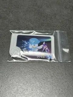 ポケモンフレンダ　パラレルアートピック