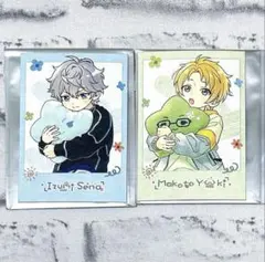 あんスタ 童心珍蔵 ポラロイド 瀬名泉 遊木真