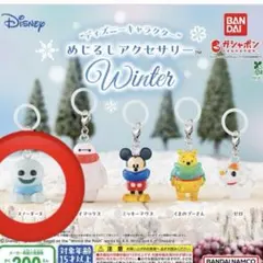 ディズニー めじるしアクセサリー Winter スノーギース