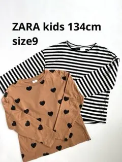 ZARA kids ブラウントップス&ボーダー 長袖2点セット 134cm