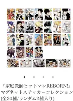 開封のみ】家庭教師ヒットマンREBORN フレームスタイルマグネット 笹川