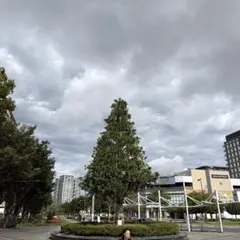 Item thumbnail for item ac8e2bf3-25ae-494b-a308-527b0364b1a6