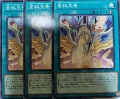 金科玉条 魔法カード 3枚セット