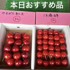 山形県さくらんぼ ✿山形紅王 1.15kg ◎特秀 ◎4L.3L入り ♡贈答品 