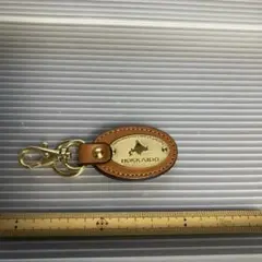 Item thumbnail for item b1a0b870-fe29-485d-a5e0-aebc34e22ff6