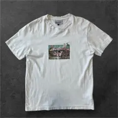 レア【カルネボレンテ】ダメージ加工グラフィック刺繍Tシャツ 富士山 白のサムネイル