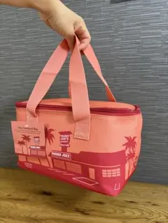 Item thumbnail for item 0f70115e-c4cd-4d73-8610-2d5fa4c73bee