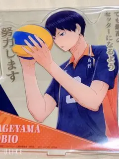 美品　ハイキュー　一番くじ　BIGアクリルスタンド　影山　影山飛雄　アクスタ