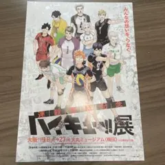 超激レア】ハイキュー 春の高校バレー ポスター 非売品 - メルカリ