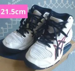 asics バスケットボール　シューズ ネイビー/ピンク　キッズ　21.5㌢