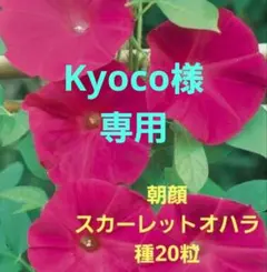 Kyoco様 リクエスト 2点 まとめ商品