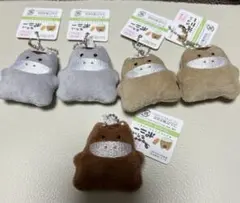 もちっとポニーちゃんマスコットキーホルダー 競馬　馬