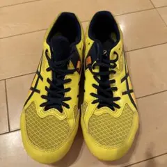 Item thumbnail for item 4d049a64-0da0-464c-bb37-f7a9e0b24e26