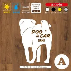 Item thumbnail for item 07cf13f8-cb50-4ae2-9f56-29b53b1a2bfe