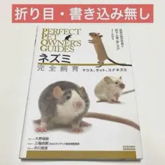 Item thumbnail for item fad80c5c-a0ae-4471-97f2-ecafe28a69fc