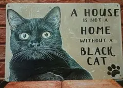 Item thumbnail for item 3b4425c7-e088-4603-b6ab-69b7d3d421f2