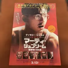 映画ポスター B1両面【マーティ・シュプリーム】ティモシーシャラメ