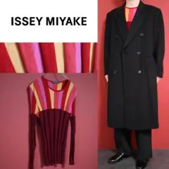 【極希少】ISSEY MIYAKE レッド系 差し色 ストライプ 立体 ニットのサムネイル
