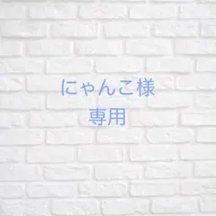 にゃんこ様 リクエスト 2点 まとめ商品