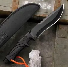 Item thumbnail for item 18e7736c-771f-4464-9bdd-12eadb04ab26