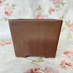 たぬき様 リクエスト 2点 まとめ商品