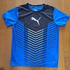 PUMA スポーツメッシュシャツ 青/黒　160センチ