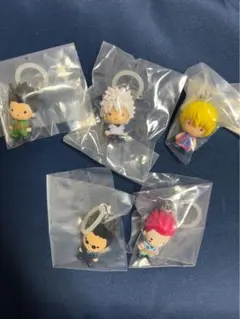 HUNTER x HUNTER めじるしアクセサリー　コンプリート　コンプ