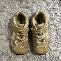 Item thumbnail for item 498b3ed9-4279-46e4-a48a-df057d785a6e