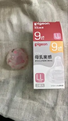 Item thumbnail for item 368d9bcb-7cdb-4690-a69c-f98a018f1c47