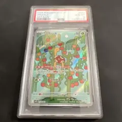 ツボツボAR PSA10 SHUCKLE