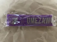 Item thumbnail for item c38b20f0-886e-499e-afb2-b84bd540665d