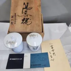 Item thumbnail for item 07ce484b-ac82-4d5d-9b28-8d9472fb6c32