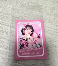 黒い猫様 リクエスト 2点 まとめ商品