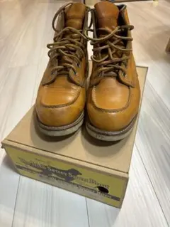 Item thumbnail for item 317583ac-fa10-4a4a-aeba-e044df29326a