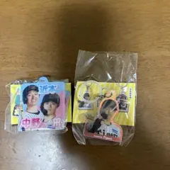 阪神 めじるしオーロラチャーム・2ショットアクリルキーホルダー 〜近本・中野〜