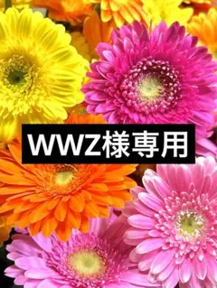 WWZ様 リクエスト 2点 まとめ商品