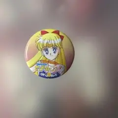 2026年最新】愛野美奈子の人気アイテム - メルカリ