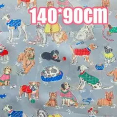 ロンドンストリート キャスキッドソン 生地　ハンドメイド シーチング