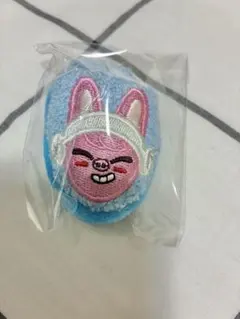 チャンビン アイドル