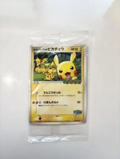 2026年最新】ポケパークのピカチュウの人気アイテム - メルカリ