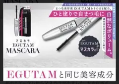 ☀️夏SALE【新品】エグータムマスカラ4個まとめ買い　定価¥3300→¥1700 ☀️夏SALE【新品】エグータムマスカラ4個まとめ買い 定価¥3300→¥1700