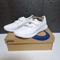 Item thumbnail for item 025a558a-1b6a-48e0-ac41-e3e7a55e1aa1