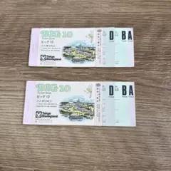 東京ディズニーランド.ビッグ10チケット 2枚セット使用済み