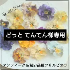 どっと てんてん様 リクエスト 4点 まとめ商品