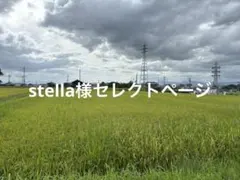 stella様セレクトページ