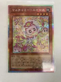 マルチャミーニャルス プリシク リミテッドオーバーコレクション