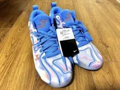 NIKE ZOOM FREAK 3 ナイキ ズームフリーク2 バッシュ 28cm - メルカリ