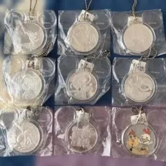 レア　非売品　ディズニーリゾート　メダルキーホルダー　9個セット