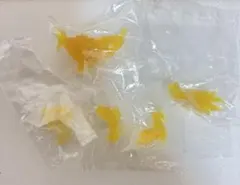 Item thumbnail for item 4cf3f266-d2e6-4a72-8268-914af713b730