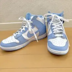 【美品】W DUNK HIGH ホワイト/アルミニウム DD1869-107